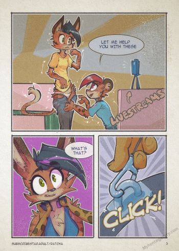 Cover of Kitties At Play
